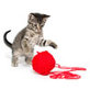 Katten