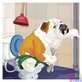 Honden
