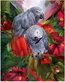 Diamond Painting Vogels