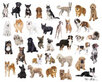 Diamond Painting Honden per ras
