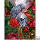 Diamond Painting Papegaaien