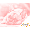 HappyDots DOT Painting Bulldog 30x40cm - Stippelschilderij Rood
