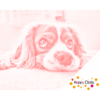 HappyDots DOT Painting Schattig Hondje 30x40cm - Stippelschilderij Rood