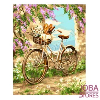 OP=OP Schilderen op nummer Fiets met bloemen 40x50cm