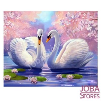OP=OP Schilderen op nummer Zwanen 40x50cm
