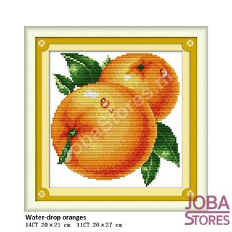 OP=OP Borduur Pakket Fruit 01 14CT voorbedrukt (20x21cm)