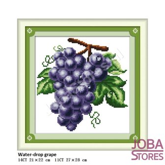 OP=OP Borduur Pakket Fruit 03 14CT voorbedrukt (21x22cm)