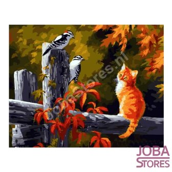 Schilderen op nummer Herfst Kat 40x50cm (Color Canvas)