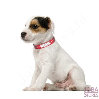 Custom Honden Halsband 006 met eigen naam