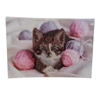 Grafix Diamond Painting op karton A4 21x29cm (Kitten)