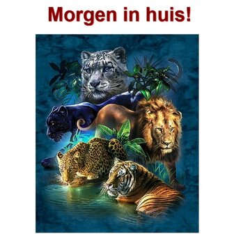 Diamond Painting Big Cats 50x60cm