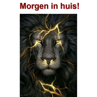 Diamond Painting Leeuw 40x60cm