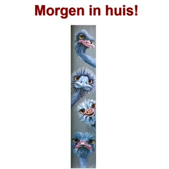 JobaStores Diamond Painting Vier Struisvogels 20x100cm