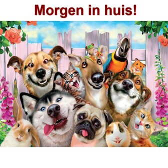 Diamond Painting Gekke Huisdieren