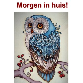 Diamond Painting Blauwe Uil 30x40cm Ronde steentjes