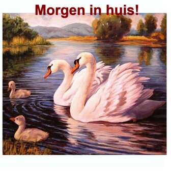 Diamond Painting Zwanen met jongen