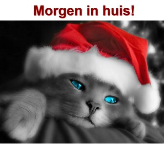 Diamond Painting Kerst Kat