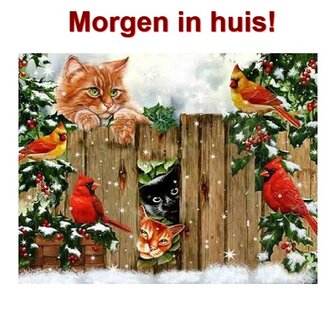 Diamond Painting Kerst Katten