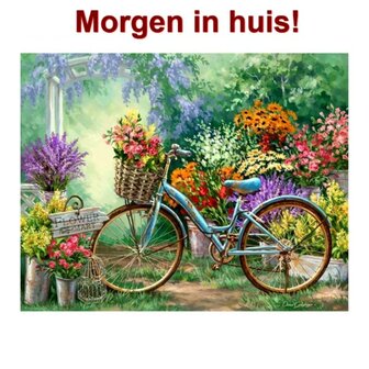 OP=OP Diamond Painting Fiets 40x30cm - Rond