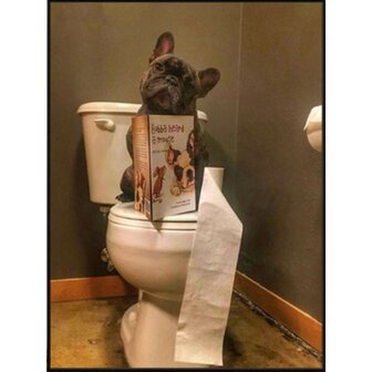 Diamond Painting Toilet Hond Bulldog