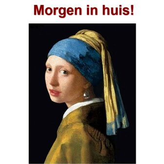 Diamond Painting Meisje met de parel 30x40cm