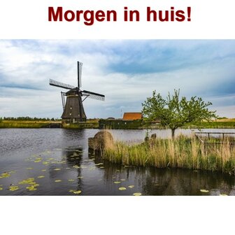 Diamond Painting Molen 40x50cm