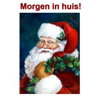 OP=OP Diamond Painting Kerstman 30x40cm
