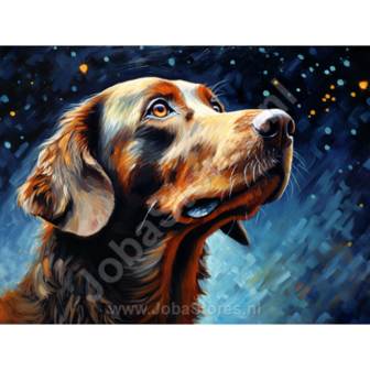 Diamond Painting Sterrennacht Hond