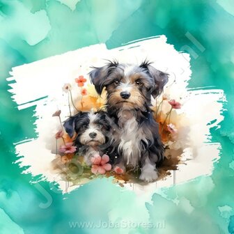 Diamond Painting Aquarel Hond - Havanezer