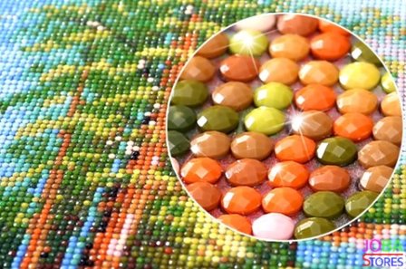 Diamond Painting "JobaStores®" Herfst Tuin - volledig - 30x40cm -rond 