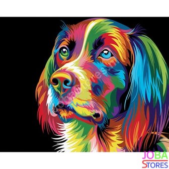 Schilderen op nummer Gekleurde Hond 40x50cm