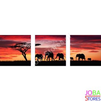 OP=OP Diamond Painting Olifanten 3 luiks 60x20cm