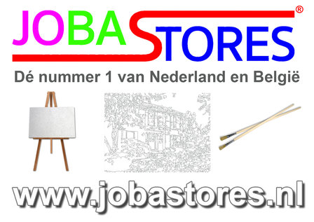 Schilderen op nummer Schattig Huisje 40x50cm