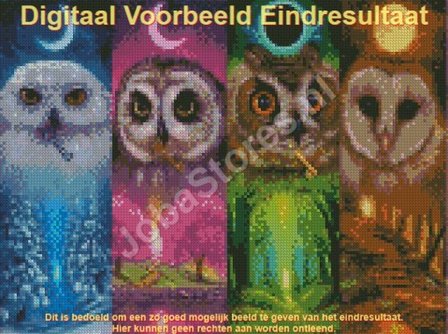 OP=OP Diamond Painting Uilen 4 Seizoenen 40x30cm