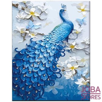 OP=OP Schilderen op nummer Pauw 01 40x50cm
