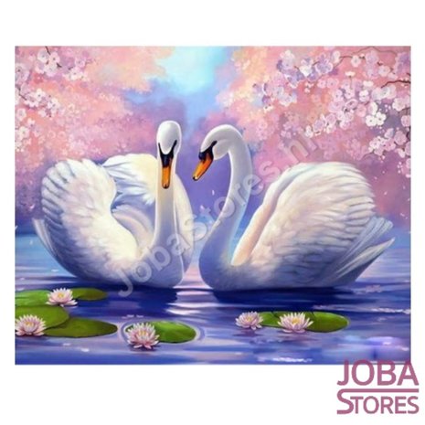 OP=OP Schilderen op nummer Zwanen 40x50cm