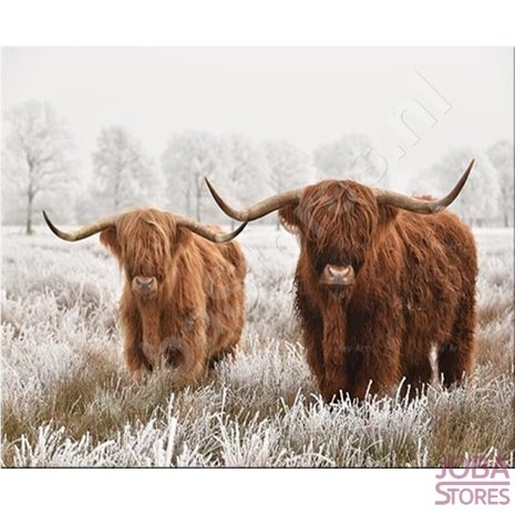 Diamond Painting Schotse Hooglanders 60x80cm