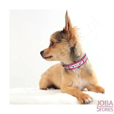 Custom Honden Halsband 012 met eigen naam