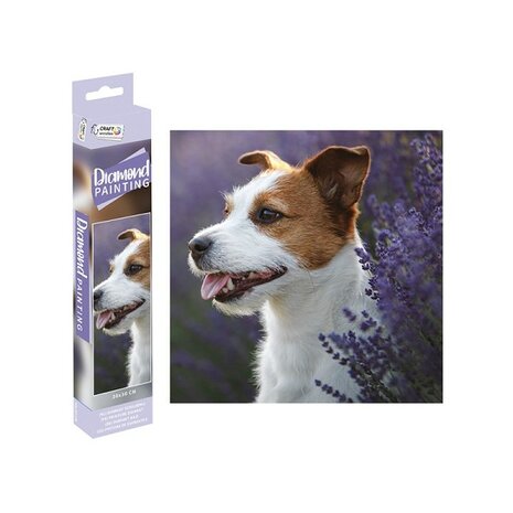 OP=OP Grafix Diamond Painting - Hond 30x30cm - Rond