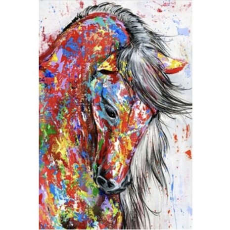 Diamond Painting Paard Graffiti (formaat en vorm steentjes naar keuze)