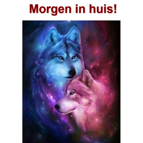 Diamond Painting Wolven Koppel 30x40cm