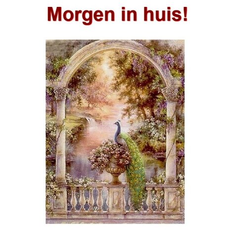 JobaStores Diamond Painting Pauw