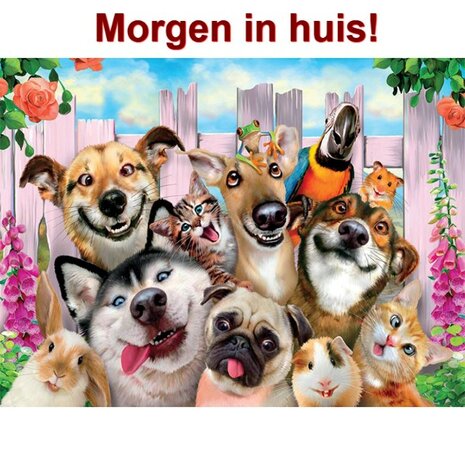 Diamond Painting Gekke Huisdieren