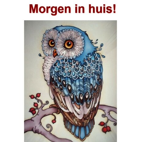 Diamond Painting Blauwe Uil 30x40cm Ronde steentjes