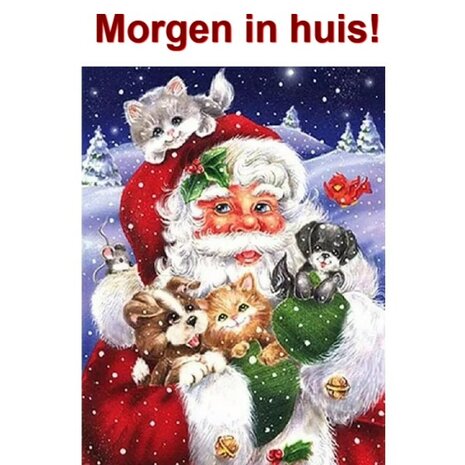 Diamond Painting Kerstman met kittens en puppies