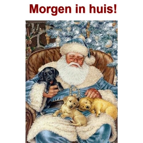 Diamond Painting Kerstman met puppies