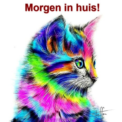 Diamond Painting Gekleurde Kat