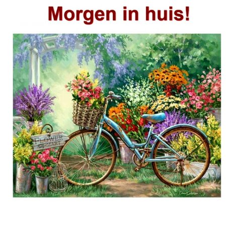 OP=OP Diamond Painting Fiets 40x30cm - Rond