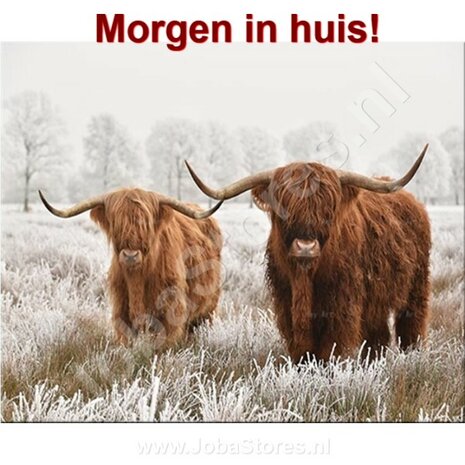 Diamond Painting Schotse Hooglanders 60x80cm