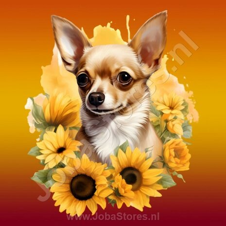 Diamond Painting Chihuahua met zonnebloemen